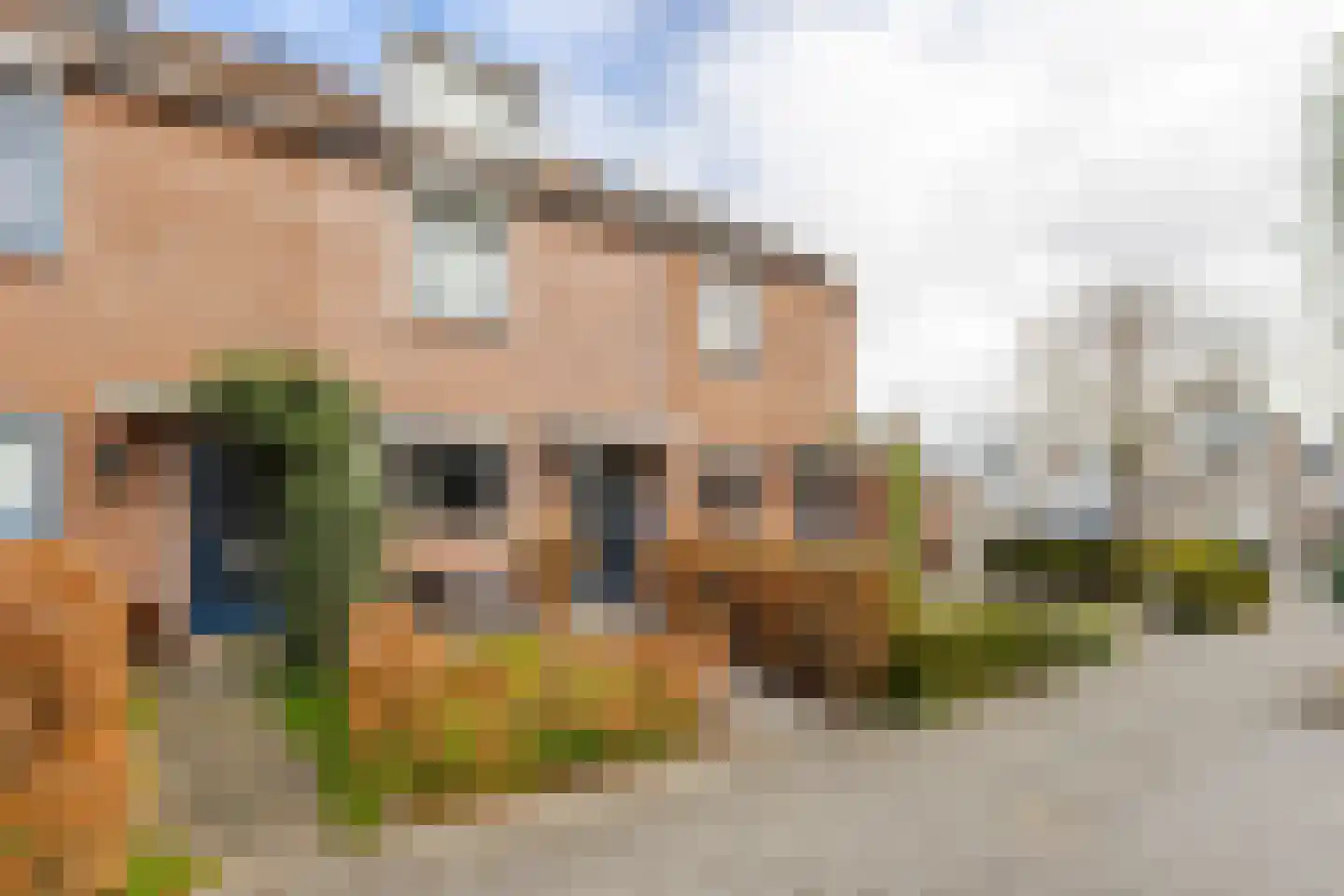 Meeuwenlaan 17 Groot-Ammers thumbnail 30