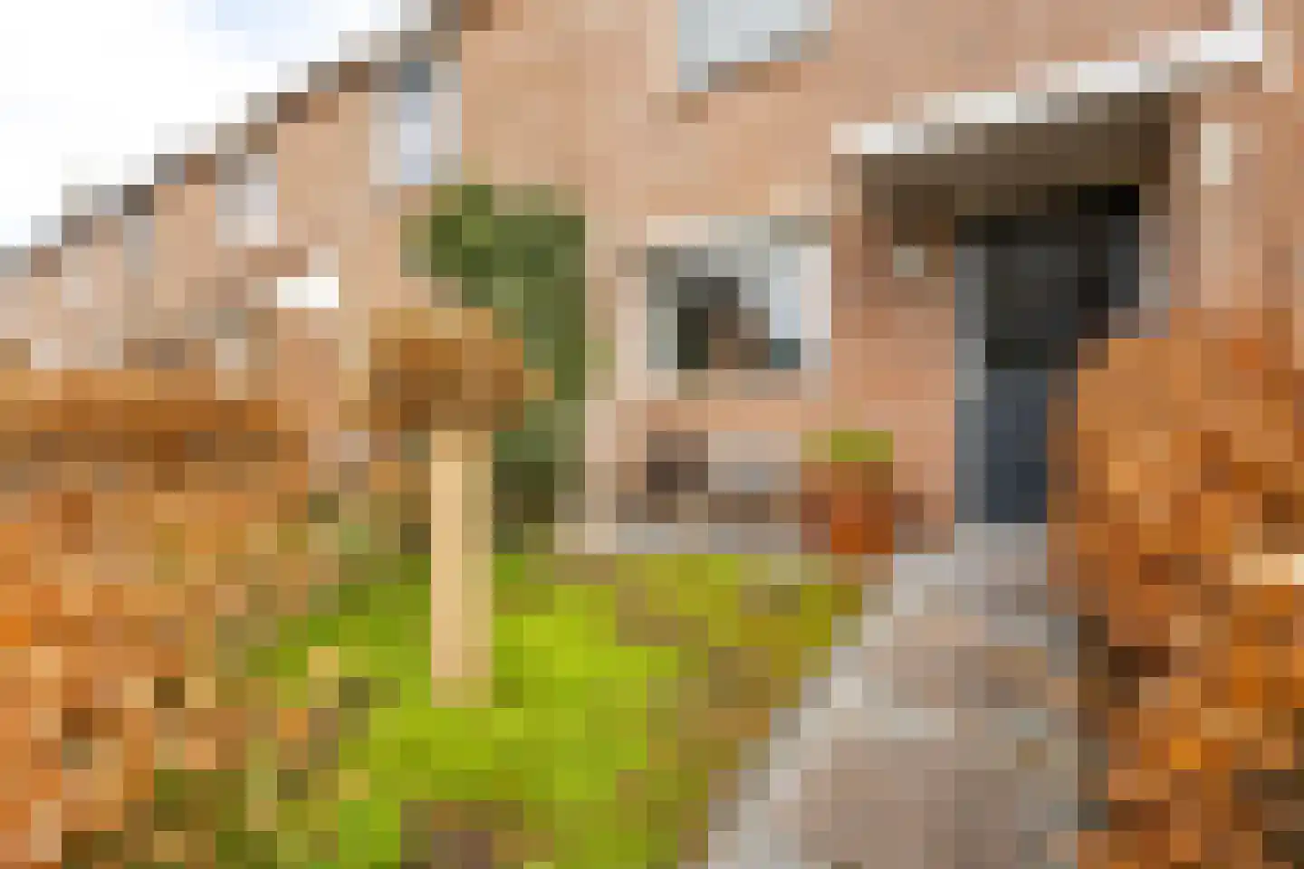 Meeuwenlaan 17 Groot-Ammers thumbnail 31