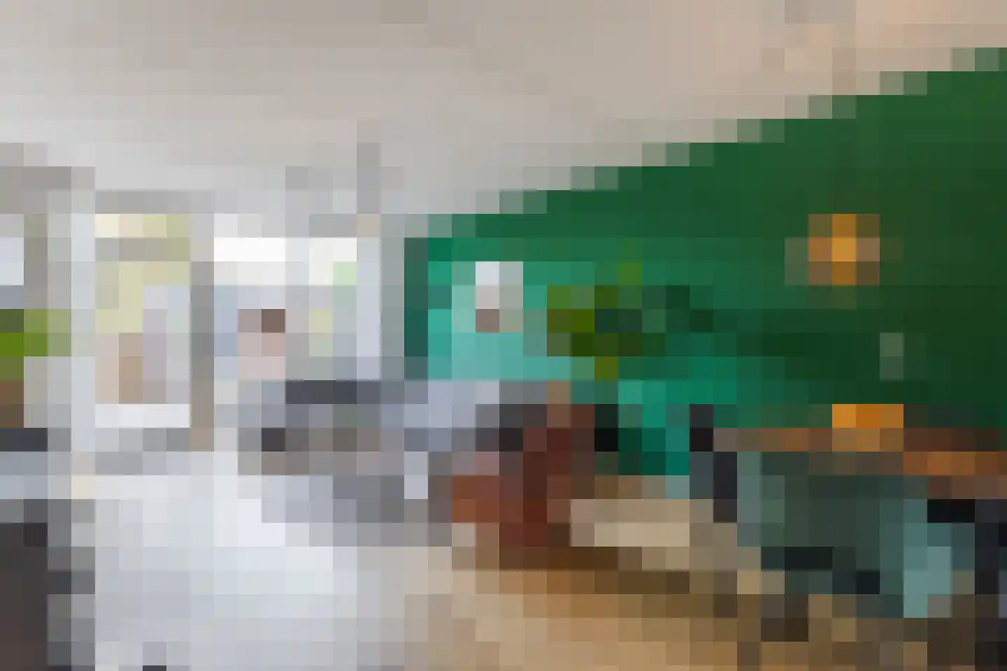 Meeuwenlaan 17 Groot-Ammers thumbnail 6