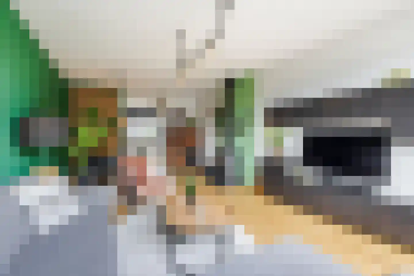 Meeuwenlaan 17 Groot-Ammers thumbnail 8