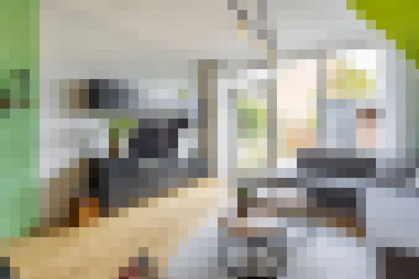 Meeuwenlaan 17 Groot-Ammers thumbnail 9