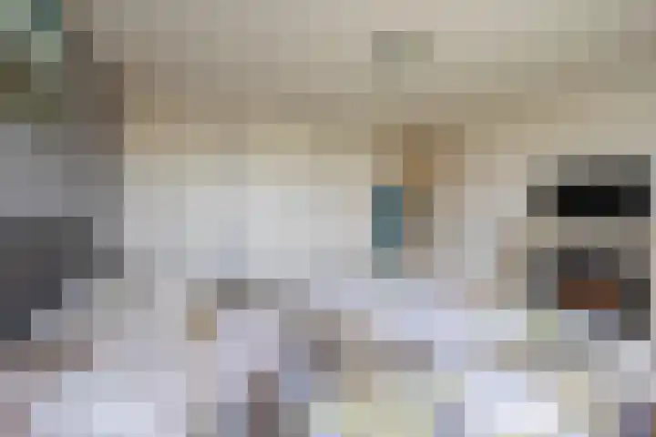 Meeuwenlaan 18 Lisse thumbnail 12