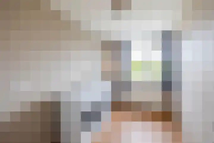 Meeuwenlaan 18 Lisse thumbnail 13