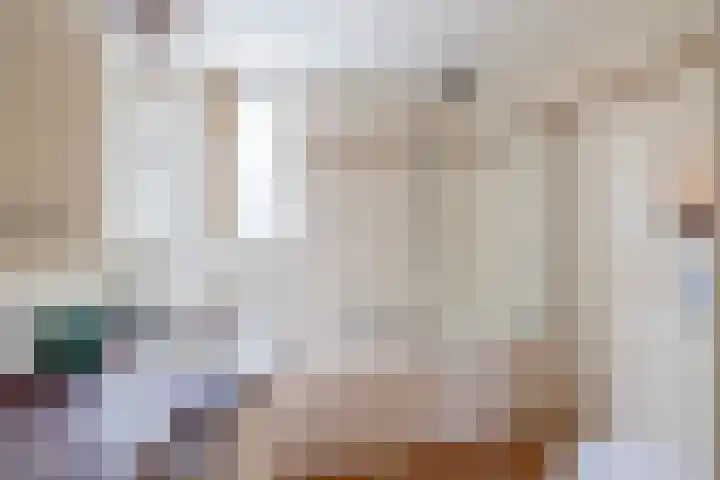 Meeuwenlaan 18 Lisse thumbnail 17