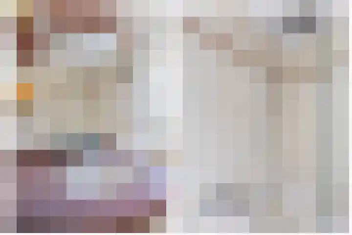 Meeuwenlaan 18 Lisse thumbnail 19