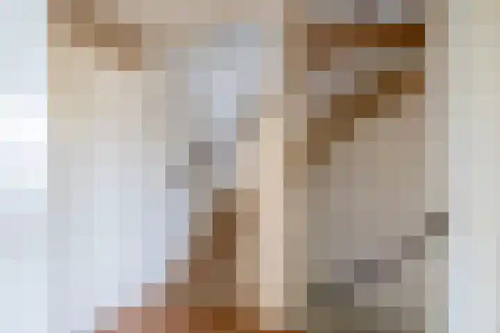 Meeuwenlaan 18 Lisse thumbnail 20
