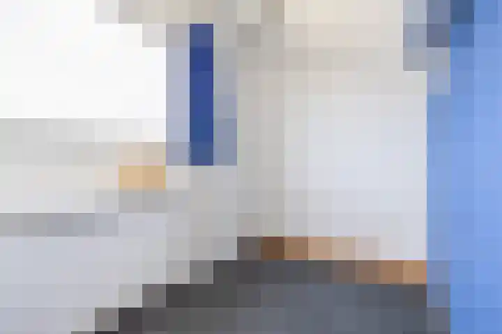Meeuwenlaan 18 Lisse thumbnail 21