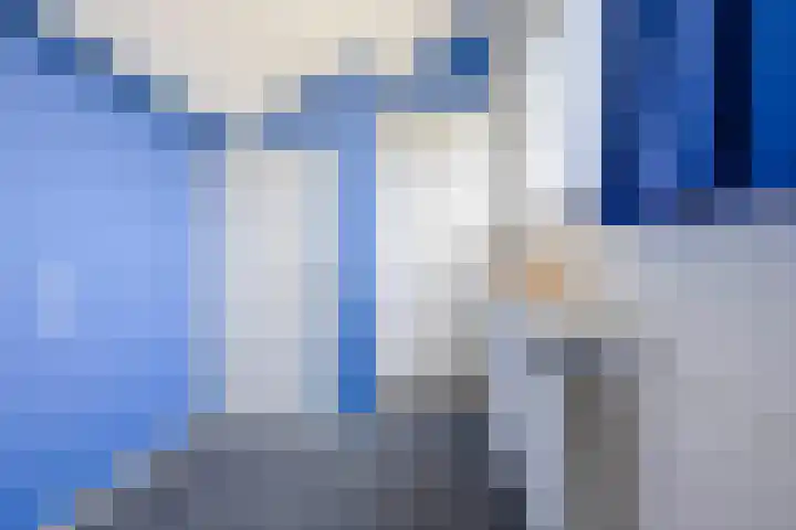 Meeuwenlaan 18 Lisse thumbnail 22