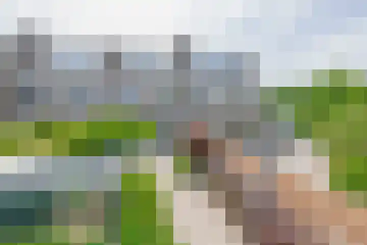 Meeuwenlaan 18 Lisse thumbnail 26