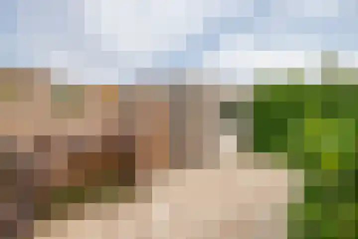 Meeuwenlaan 18 Lisse thumbnail 27