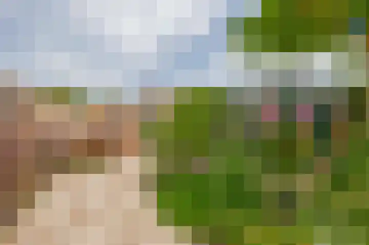 Meeuwenlaan 18 Lisse thumbnail 28