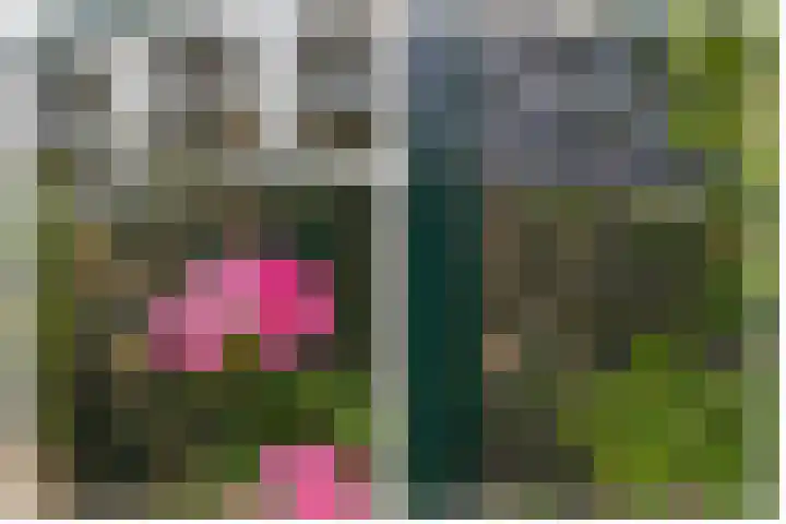 Meeuwenlaan 18 Lisse thumbnail 29