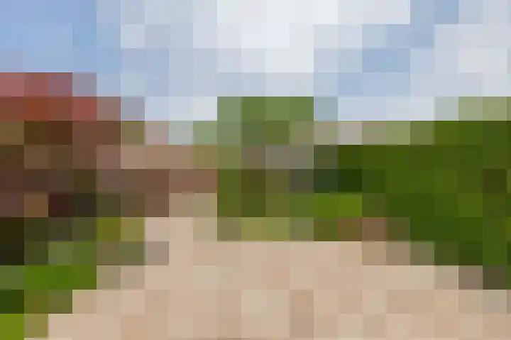 Meeuwenlaan 18 Lisse thumbnail 30