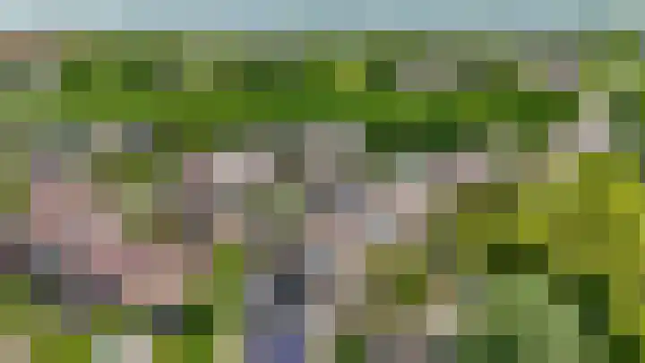 Meeuwenlaan 18 Lisse thumbnail 33