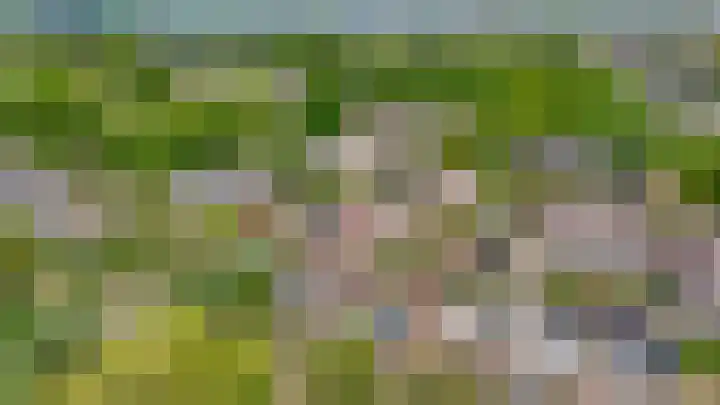 Meeuwenlaan 18 Lisse thumbnail 34