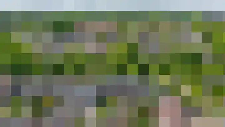 Meeuwenlaan 18 Lisse thumbnail 35