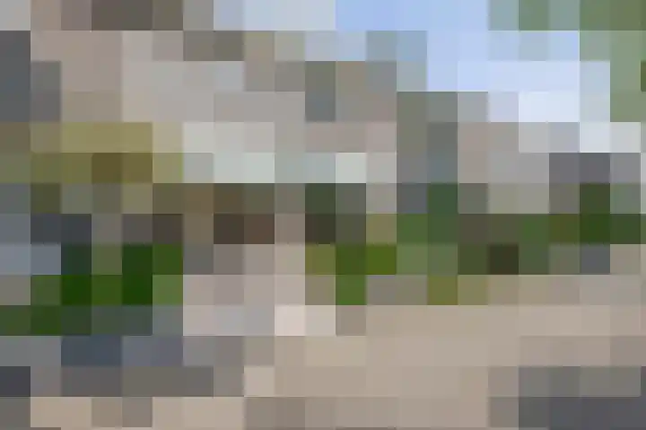 Meeuwenlaan 18 Lisse thumbnail 36
