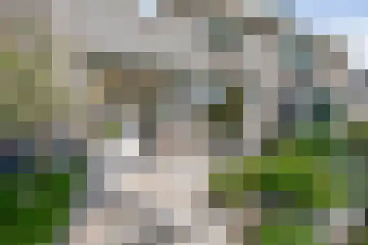 Meeuwenlaan 18 Lisse thumbnail 37