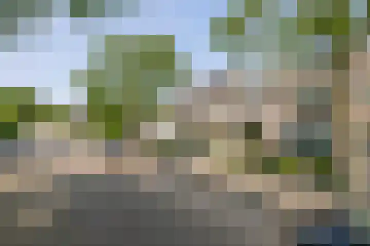 Meeuwenlaan 18 Lisse thumbnail 38