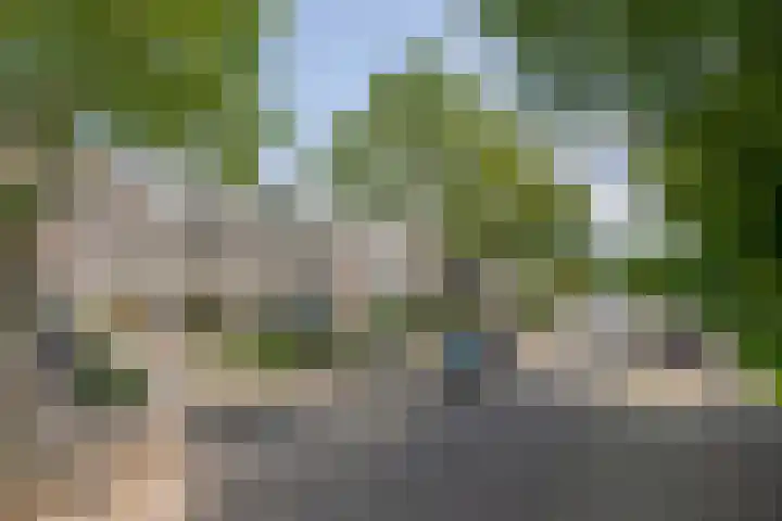 Meeuwenlaan 18 Lisse thumbnail 39