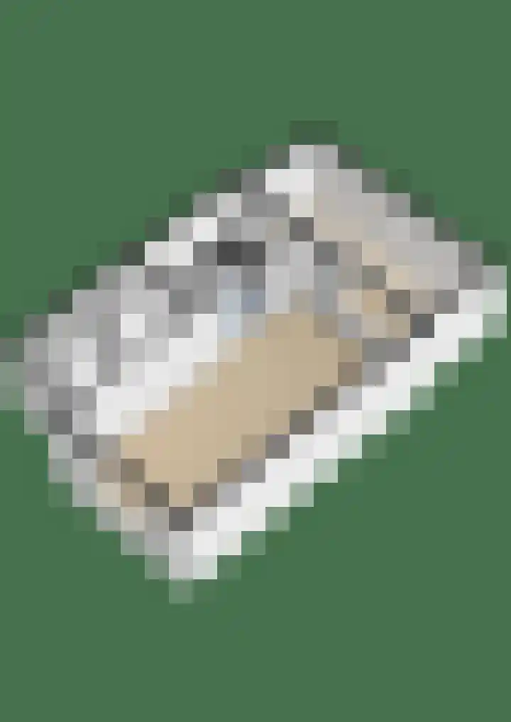 Meeuwenlaan 18 Lisse thumbnail 41