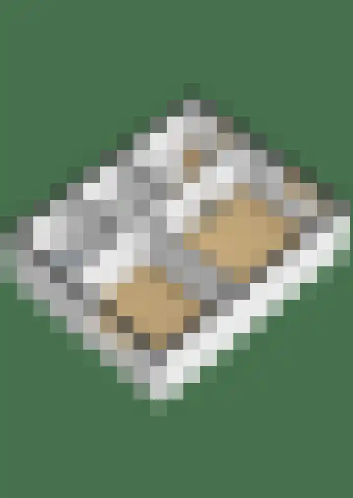 Meeuwenlaan 18 Lisse thumbnail 43