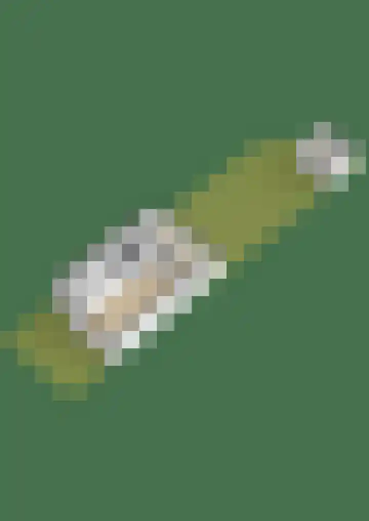 Meeuwenlaan 18 Lisse thumbnail 47