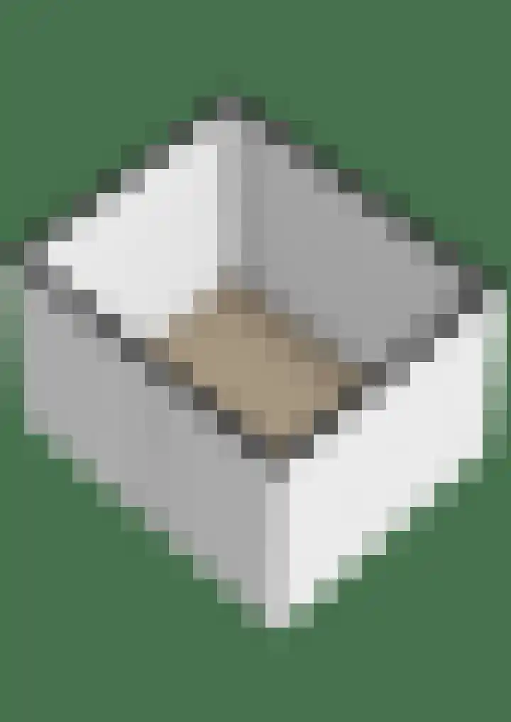 Meeuwenlaan 18 Lisse thumbnail 49