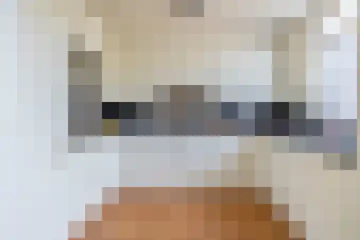 Meeuwenlaan 18 Lisse thumbnail 5