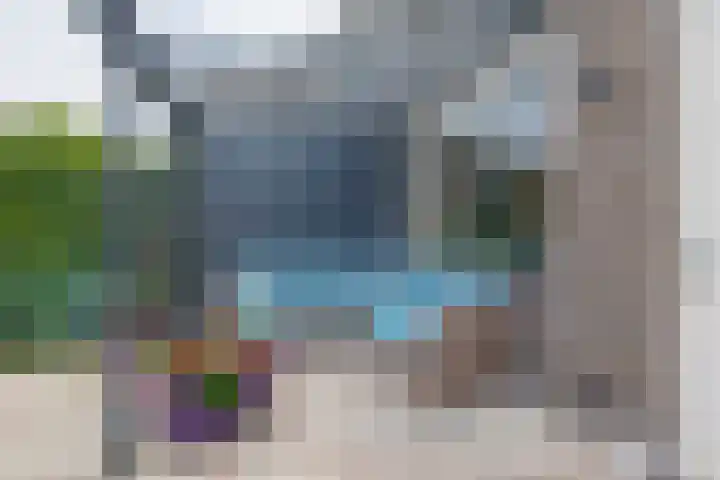 Meeuwenlaan 18 Lisse thumbnail 7