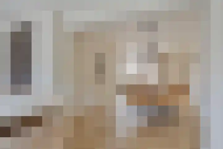 Meeuwenlaan 18 Made thumbnail 11