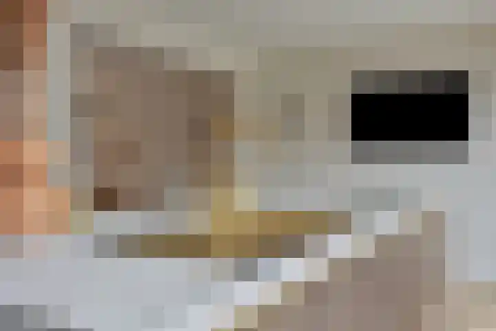 Meeuwenlaan 18 Made thumbnail 14