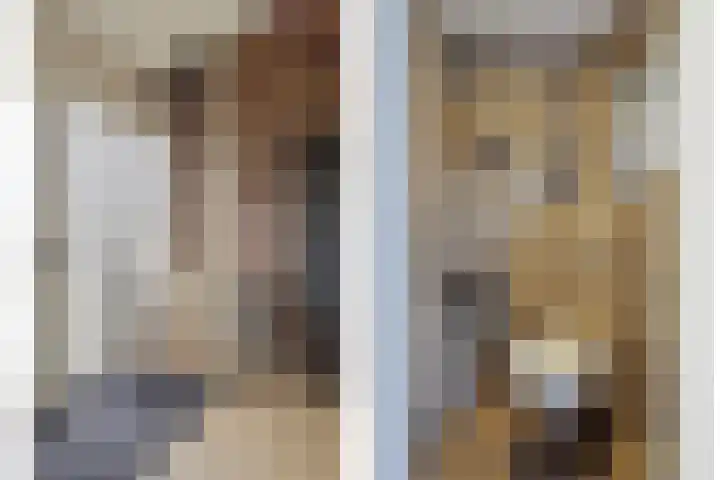 Meeuwenlaan 18 Made thumbnail 20