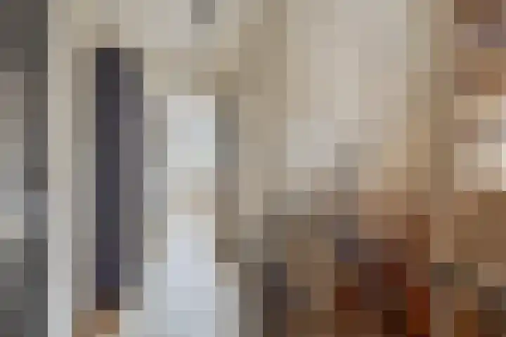 Meeuwenlaan 18 Made thumbnail 22