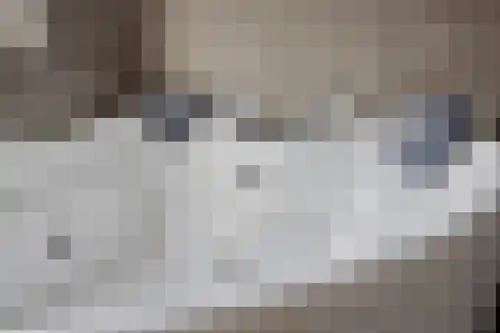 Meeuwenlaan 18 Made thumbnail 34