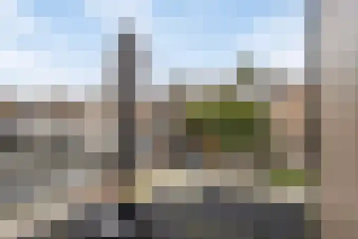 Meeuwenlaan 18 Made thumbnail 36