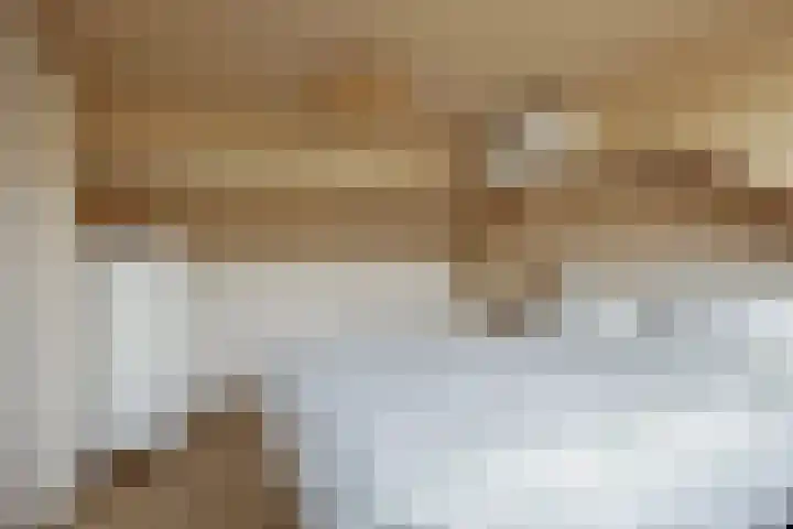 Meeuwenlaan 18 Made thumbnail 38