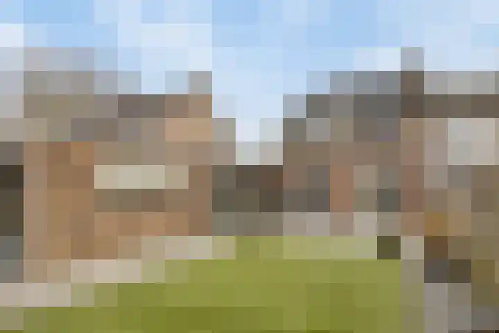Meeuwenlaan 18 Made thumbnail 40