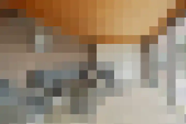 Meeuwenlaan 18 Made thumbnail 43