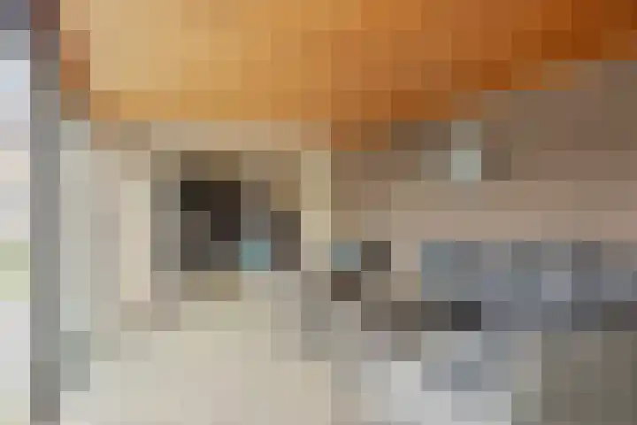 Meeuwenlaan 18 Made thumbnail 44