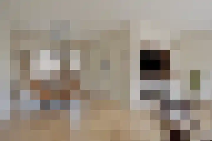 Meeuwenlaan 18 Made thumbnail 7
