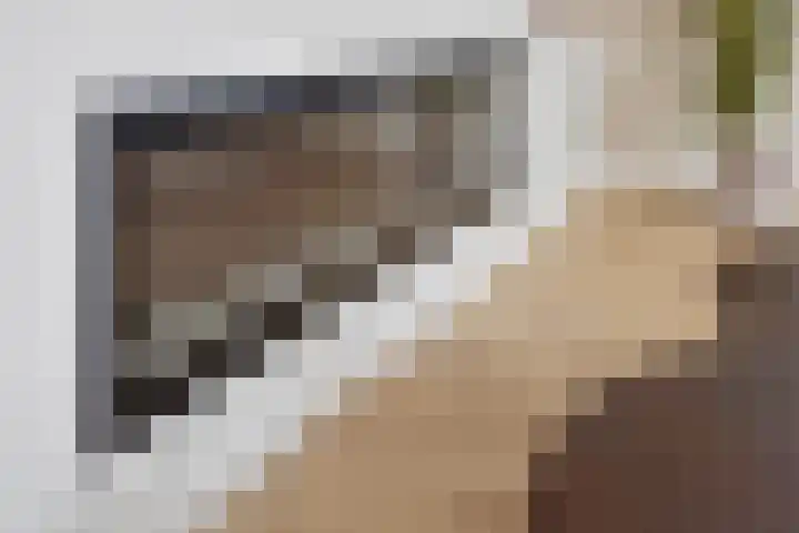 Meeuwenlaan 18 Made thumbnail 8