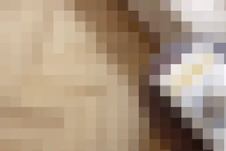 Meeuwenlaan 18 Made thumbnail 9