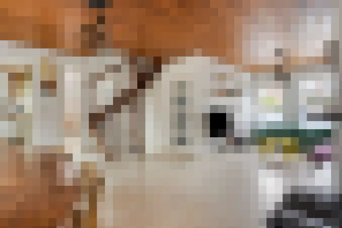 Meeuwenlaan 18 Nuenen thumbnail 11