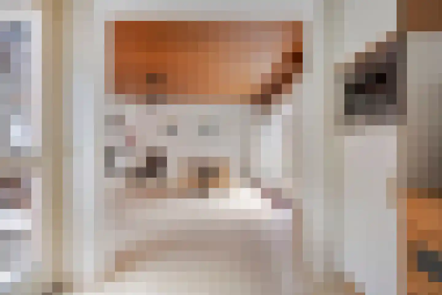 Meeuwenlaan 18 Nuenen thumbnail 14