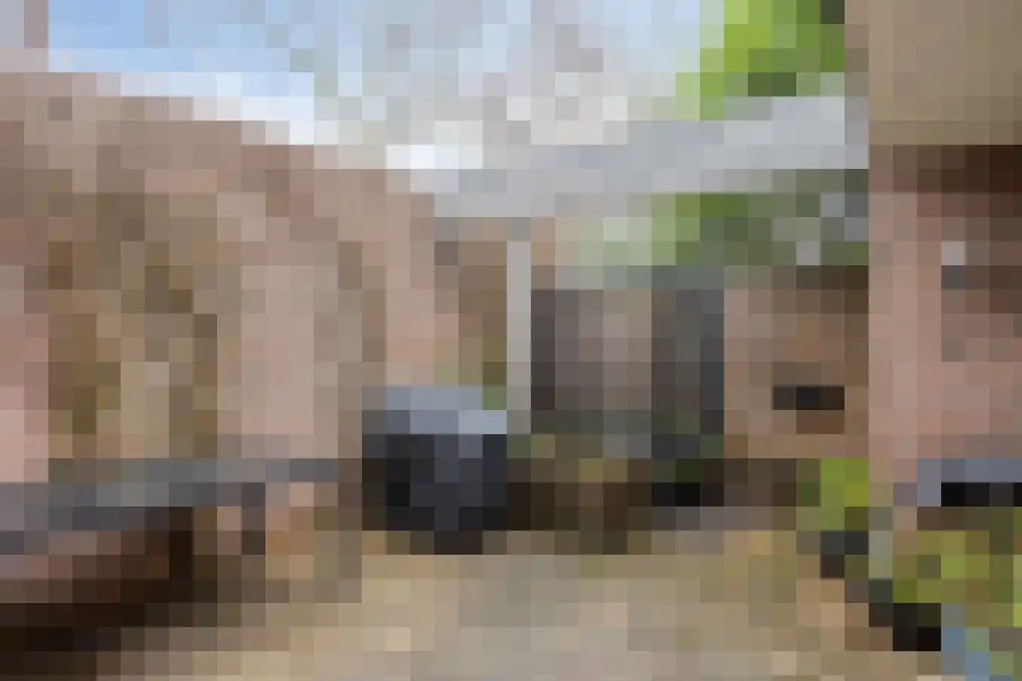 Meeuwenlaan 18 Nuenen thumbnail 19