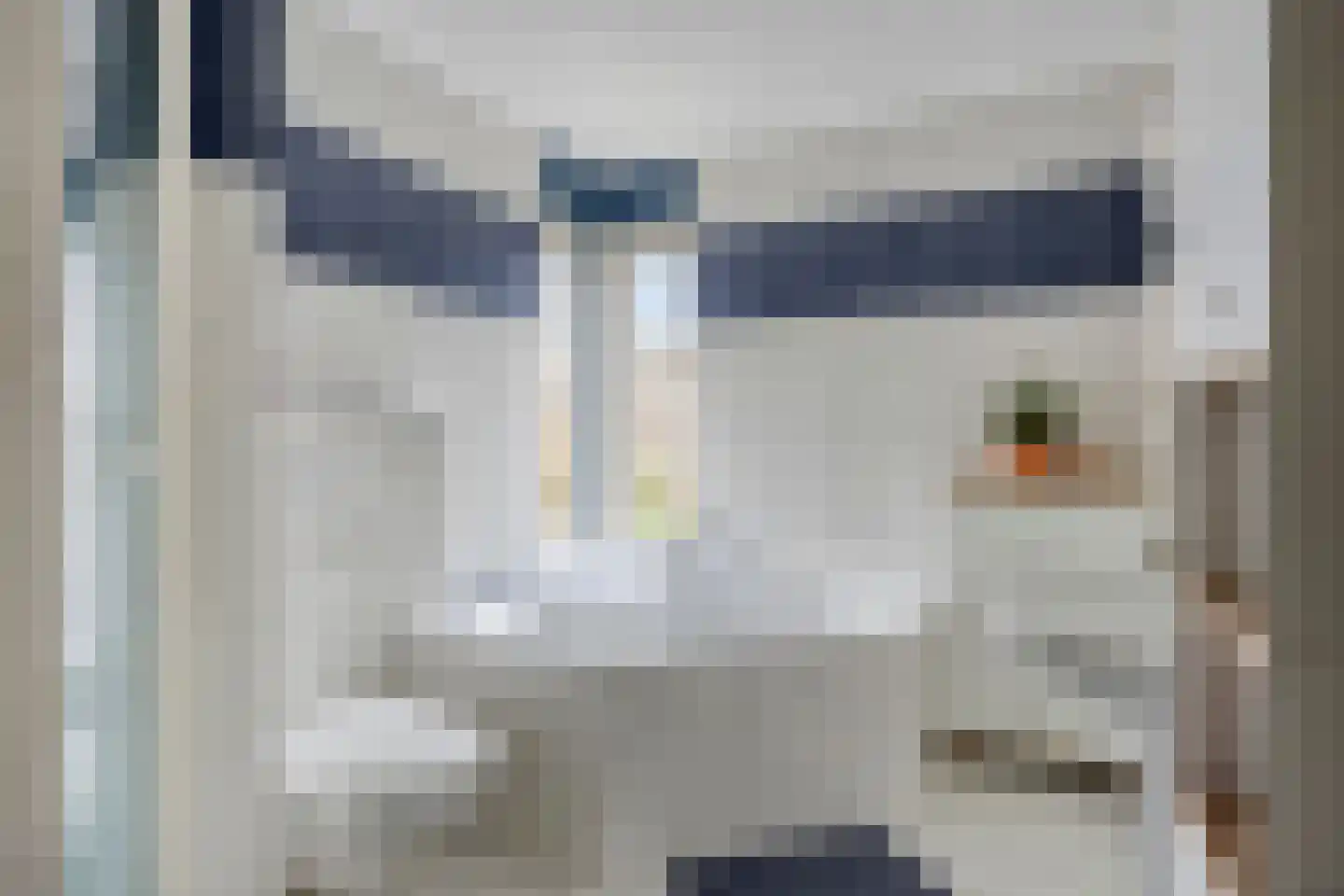 Meeuwenlaan 18 Nuenen thumbnail 23