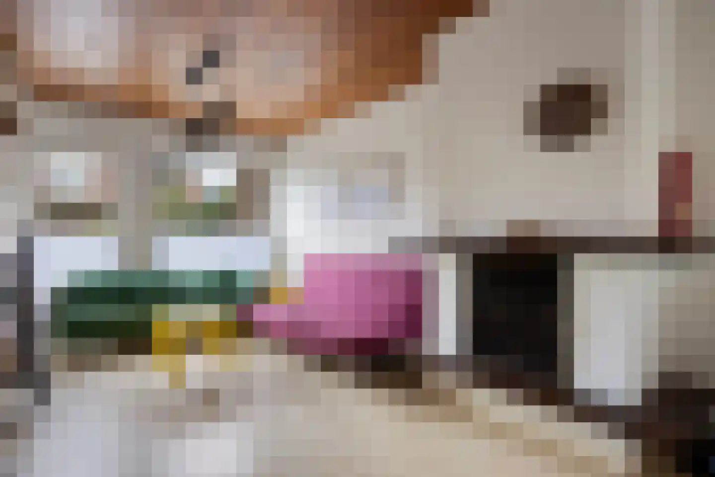 Meeuwenlaan 18 Nuenen thumbnail 8