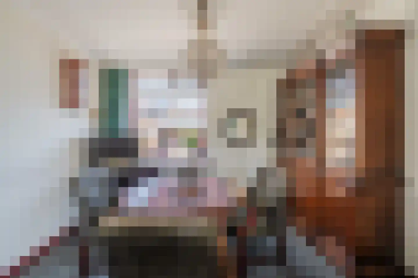 Meeuwenlaan 2 Egmond-Binnen thumbnail 11