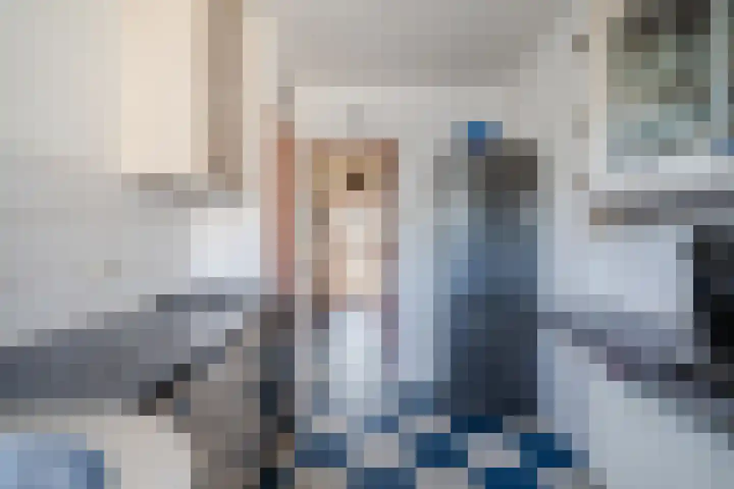 Meeuwenlaan 2 Egmond-Binnen thumbnail 13